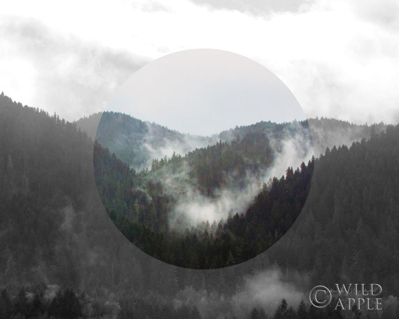 Reproduction of Bold Adventures IV v2 No Words Crop by Laura Marshall - Wall Decor Art