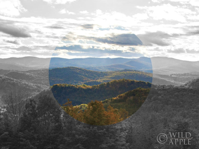 Reproduction of Bold Adventures VI v2 No Words by Laura Marshall - Wall Decor Art