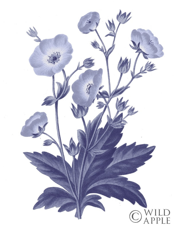 Reproduction of Dark Blue Botanical VI by Wild Apple Portfolio - Wall Decor Art