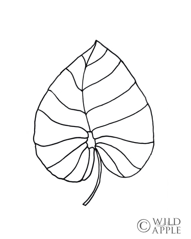 Reproduction of Doodle Palm I by Farida Zaman - Wall Decor Art