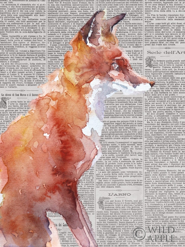 Reproduction of Sly as a Fox Newsprint by Aimee Del Valle - Wall Decor Art