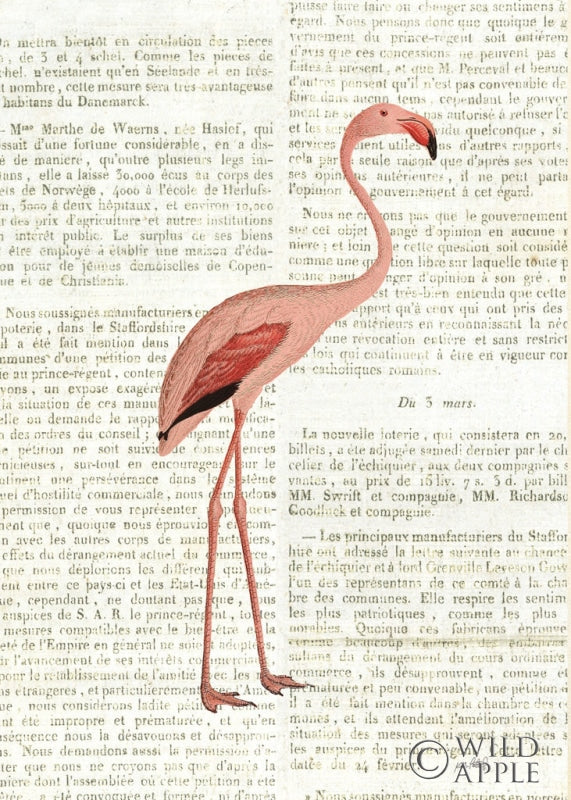 Reproduction of Floridian I Newsprint by Katie Pertiet - Wall Decor Art