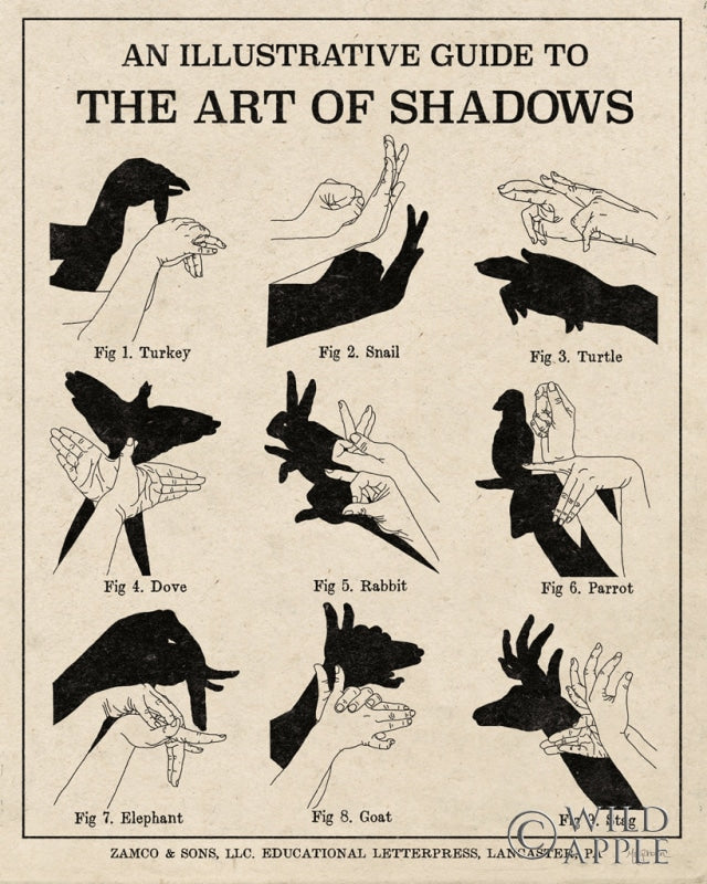 Reproduction of The Art of Shadows X v2 by Mary Urban - Wall Decor Art
