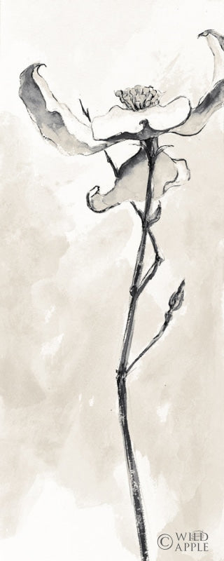 Reproduction of Solitary Dogwood IV Taupe Crop by Chris Paschke - Wall Decor Art