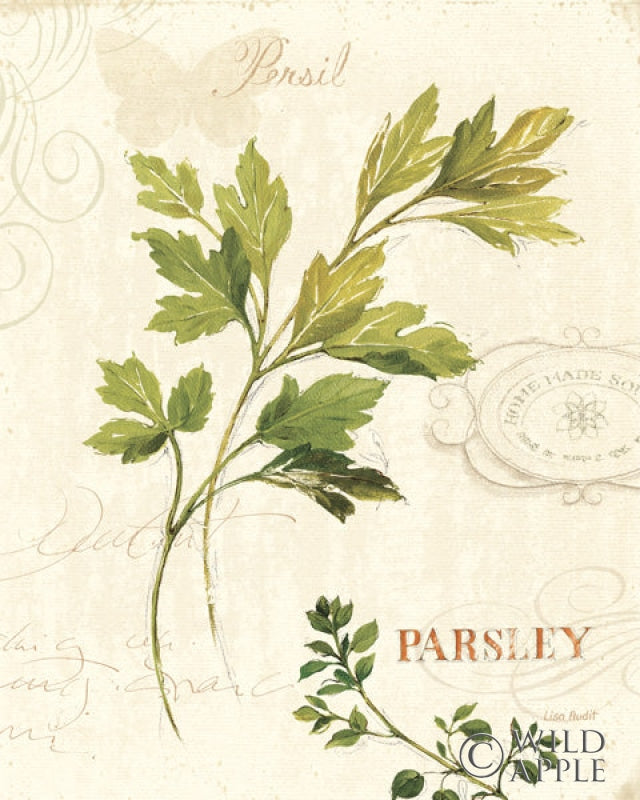 Reproduction of Aromantique I by Lisa Audit - Wall Decor Art