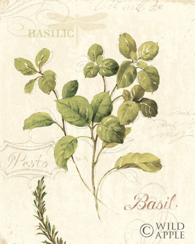 Reproduction of Aromantique III by Lisa Audit - Wall Decor Art