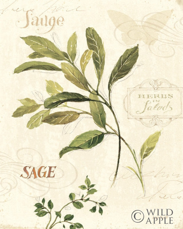 Reproduction of Aromantique IV by Lisa Audit - Wall Decor Art