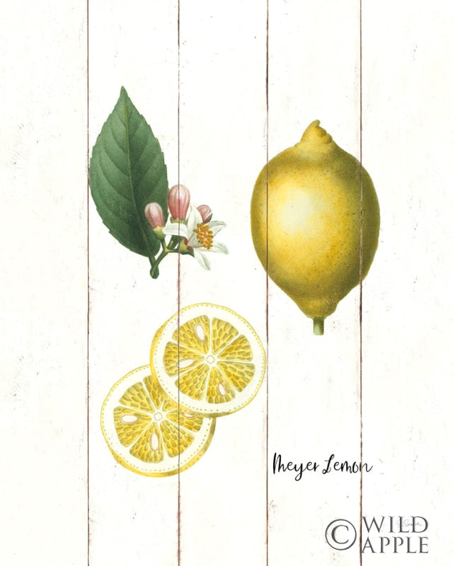 Reproduction of Cottage Lemon II by Sue Schlabach - Wall Decor Art