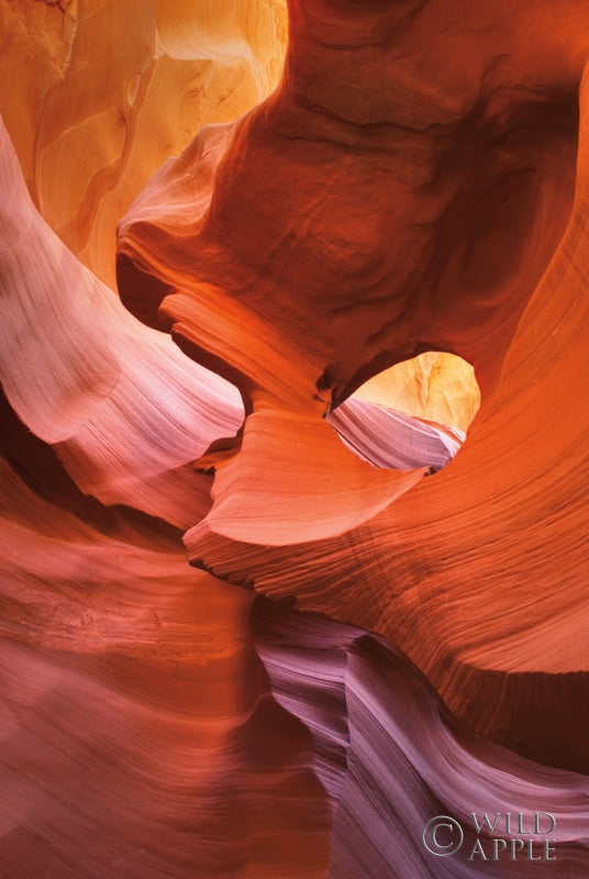 Reproduction of Lower Antelope Canyon IV by Alan Majchrowicz - Wall Decor Art