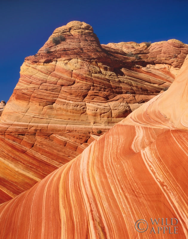 Reproduction of Coyote Buttes I by Alan Majchrowicz - Wall Decor Art