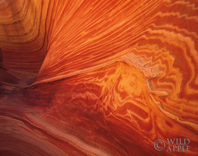 Reproduction of Coyote Buttes II by Alan Majchrowicz - Wall Decor Art