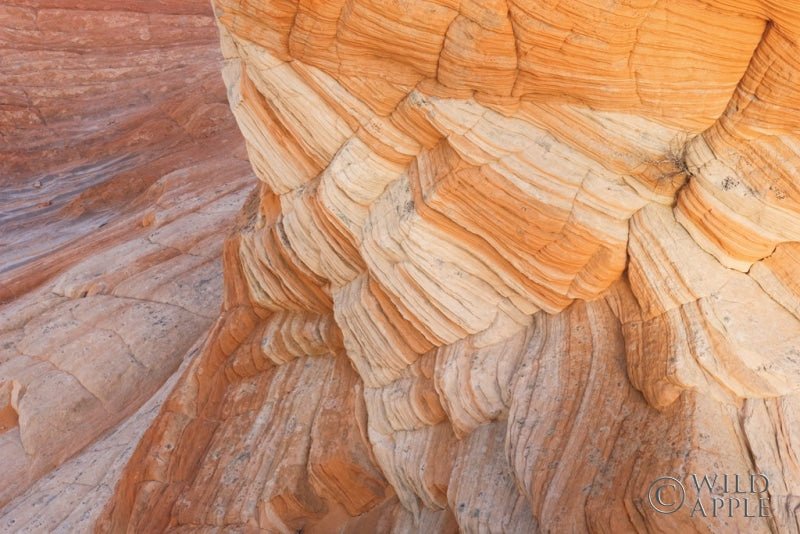 Reproduction of Coyote Buttes VII by Alan Majchrowicz - Wall Decor Art