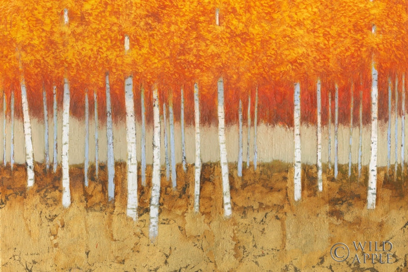 Reproduction of Autumn Birches by James Wiens - Wall Decor Art
