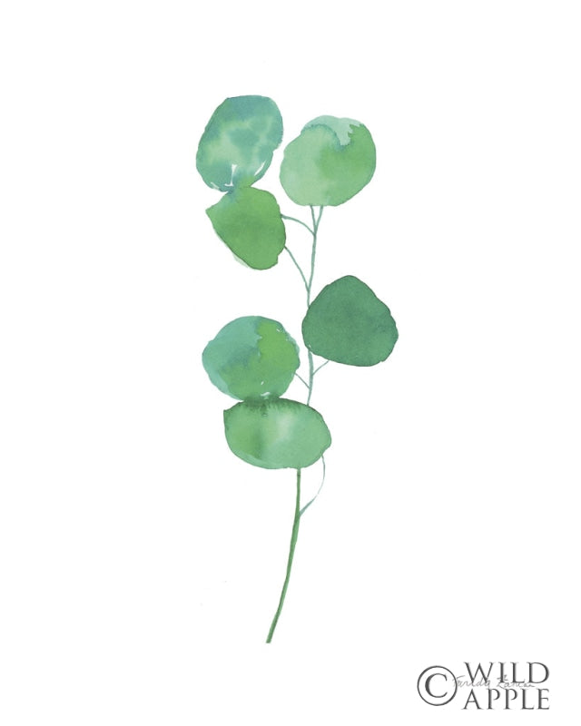 Reproduction of Fresh and Green VIII by Farida Zaman - Wall Decor Art