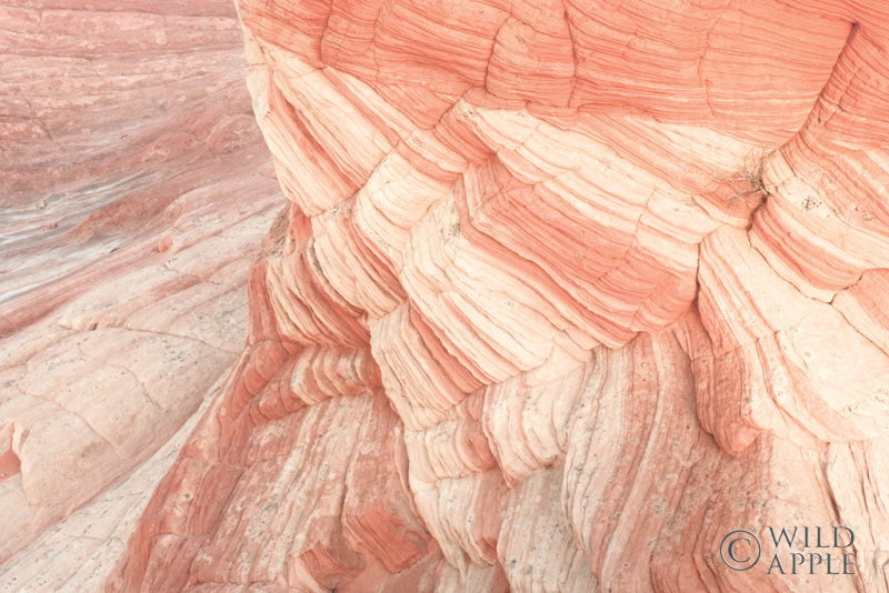 Reproduction of Coyote Buttes VII Blush by Alan Majchrowicz - Wall Decor Art