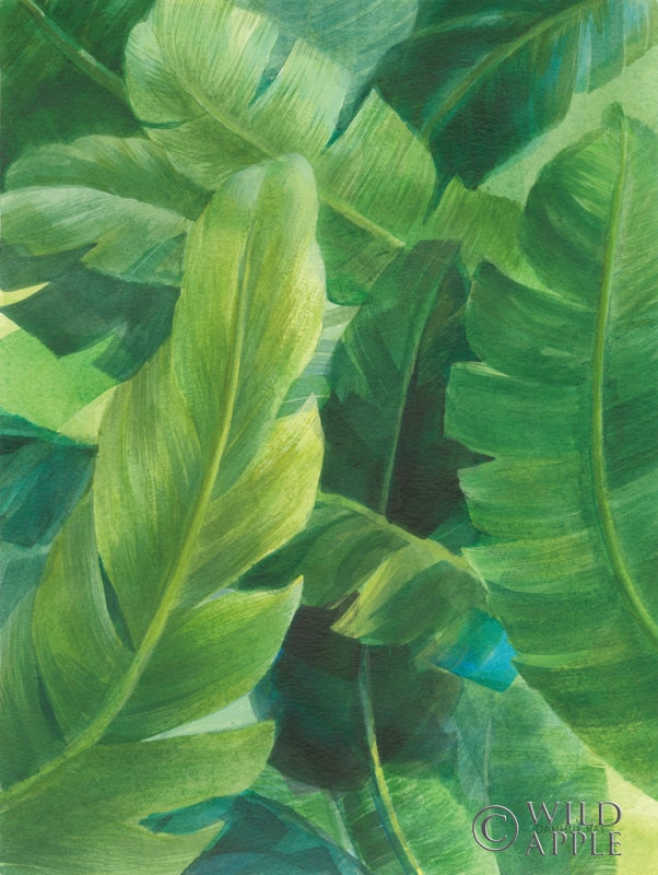 Reproduction of Palms of the Tropics I by Danhui Nai - Wall Decor Art