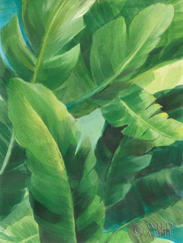 Reproduction of Palms of the Tropics II by Danhui Nai - Wall Decor Art