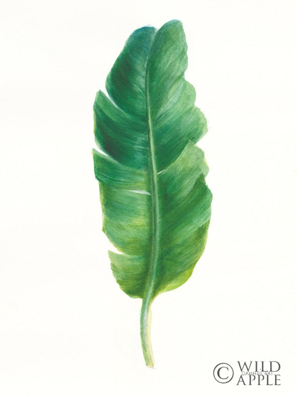 Reproduction of Palms of the Tropics III by Danhui Nai - Wall Decor Art