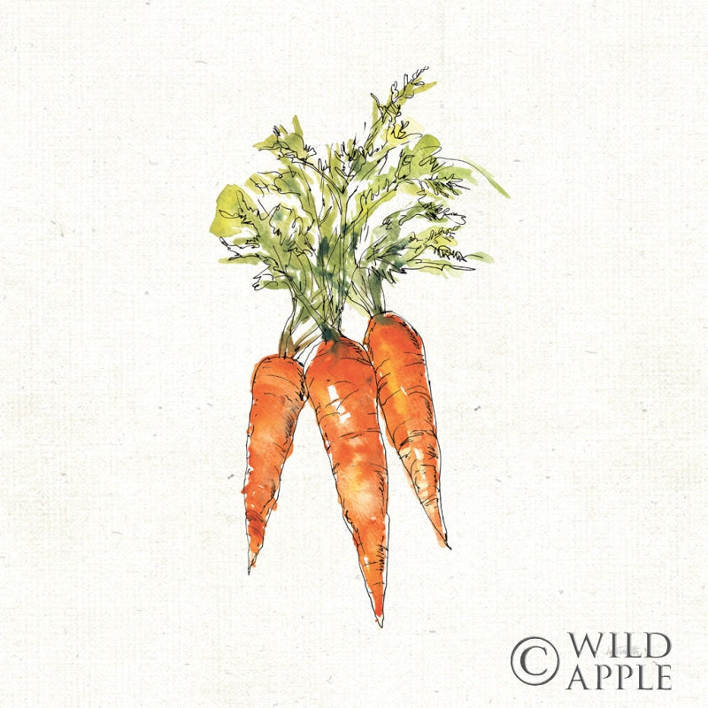 Reproduction of Veggie Market V Carrots by Anne Tavoletti - Wall Decor Art