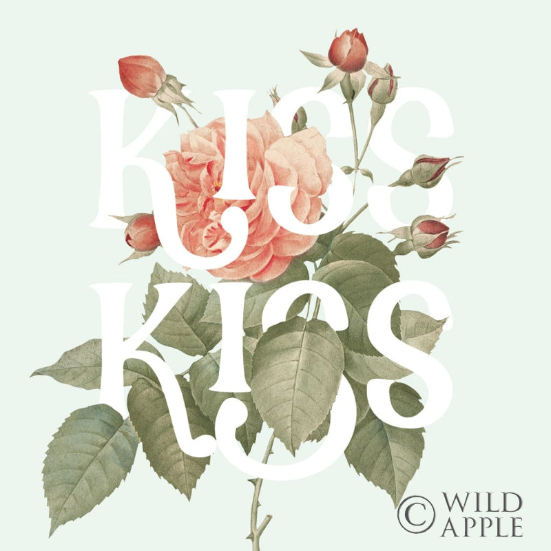 Reproduction of Botanical Pink Rose I Kiss by Wild Apple Portfolio - Wall Decor Art