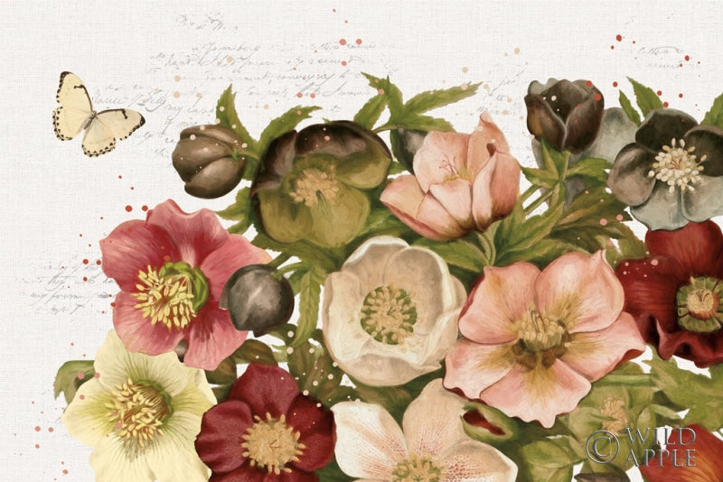 Reproduction of Vintage Petals I by Katie Pertiet - Wall Decor Art