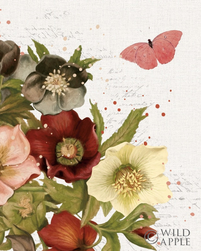 Reproduction of Vintage Petals III Crop by Katie Pertiet - Wall Decor Art