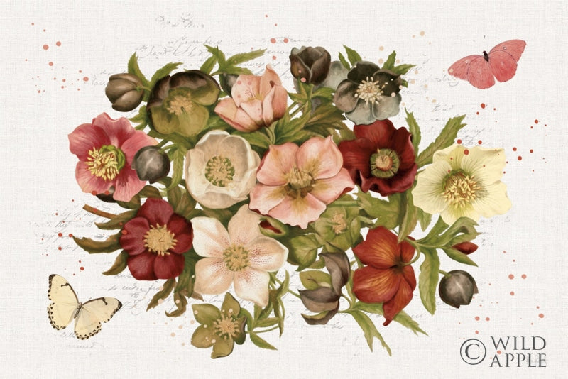 Reproduction of Vintage Petals IV by Katie Pertiet - Wall Decor Art