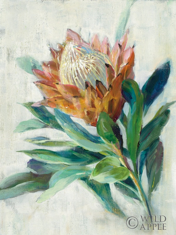Reproduction of Protea by Danhui Nai - Wall Decor Art