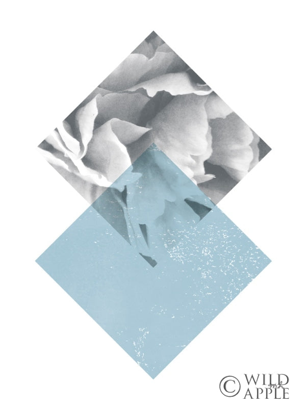 Reproduction of Blossoms III v2 by Moira Hershey - Wall Decor Art