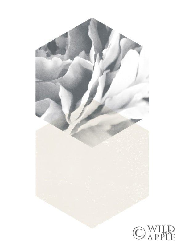 Reproduction of Blossoms IV v2 by Moira Hershey - Wall Decor Art