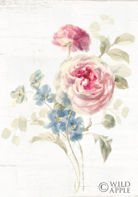 Reproduction of Cottage Garden II v2 by Danhui Nai - Wall Decor Art