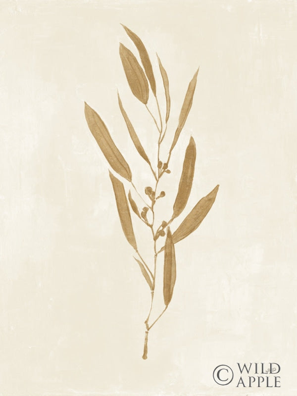 Reproduction of Botanical Study I Gold Crop by Julia Purinton - Wall Decor Art