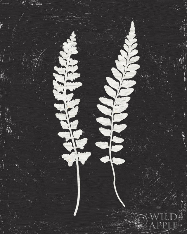 Reproduction of Forest Shadows III Black Crop by Moira Hershey - Wall Decor Art