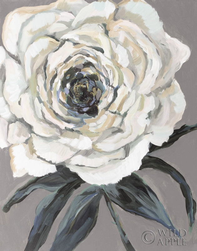 Reproduction of Rose Neutral by Jeanette Vertentes - Wall Decor Art
