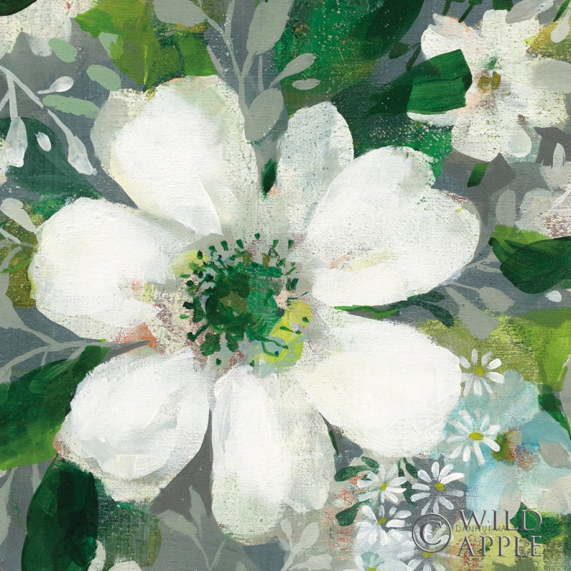 Reproduction of Anemone and Friends V by Danhui Nai - Wall Decor Art