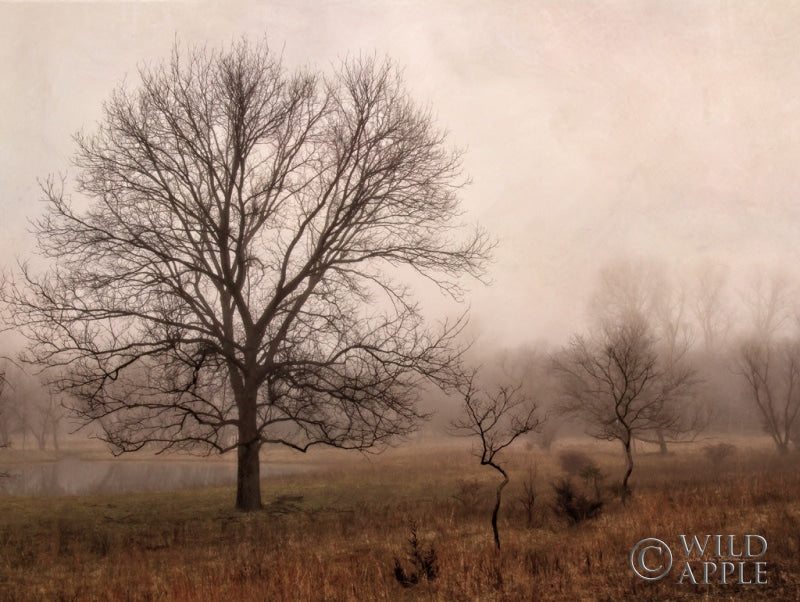 Reproduction of Morning Calm IV by Debra Van Swearingen - Wall Decor Art