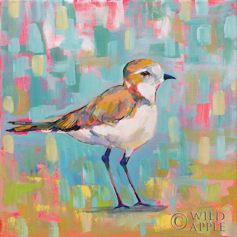 Reproduction of Coastal Plover III by Jeanette Vertentes - Wall Decor Art