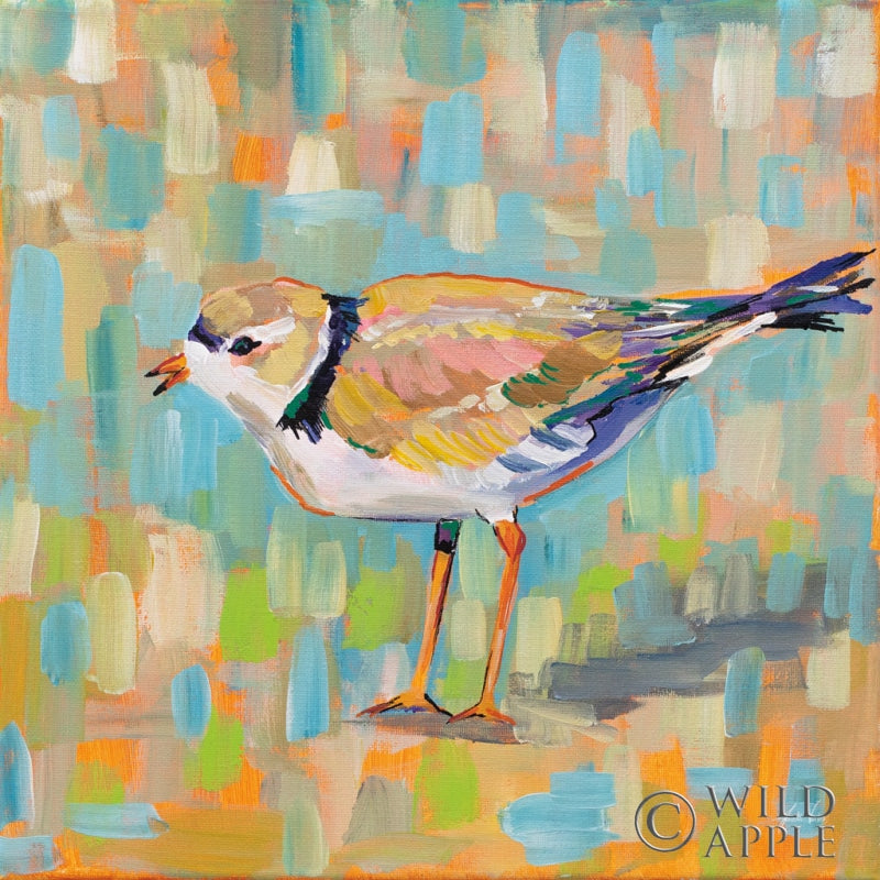 Reproduction of Coastal Plover IV by Jeanette Vertentes - Wall Decor Art