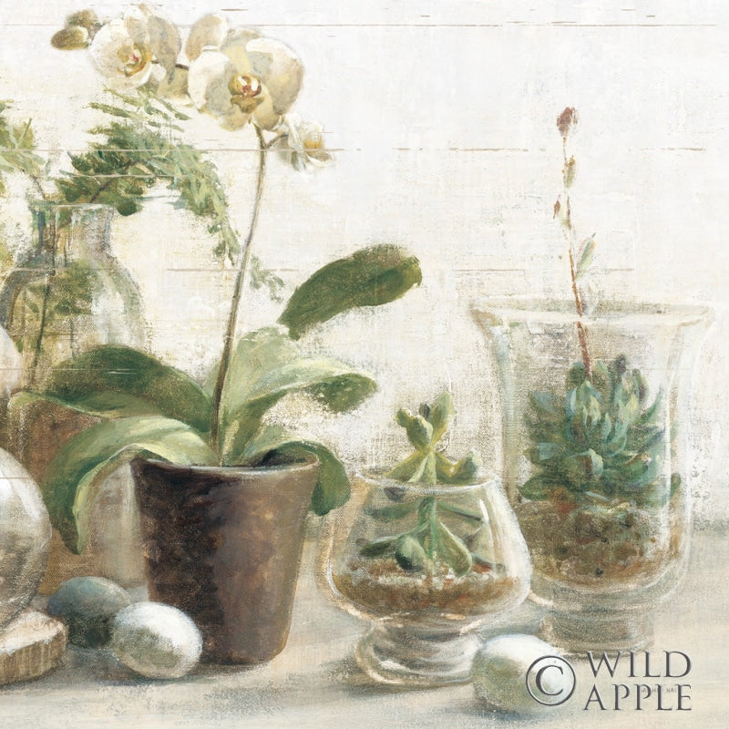 Reproduction of Greenhouse Orchids on Shiplap III by Danhui Nai - Wall Decor Art