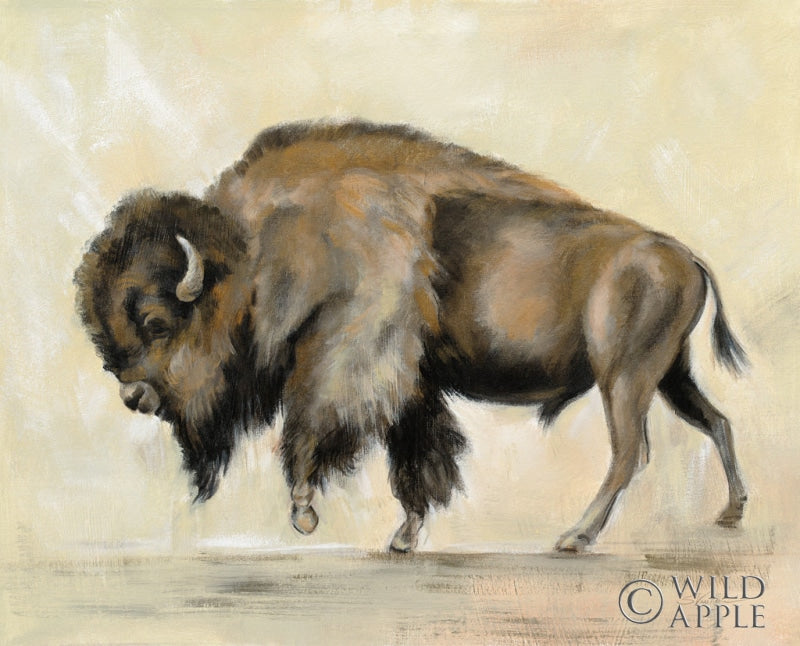Reproduction of Bronze Buffalo by Silvia Vassileva - Wall Decor Art