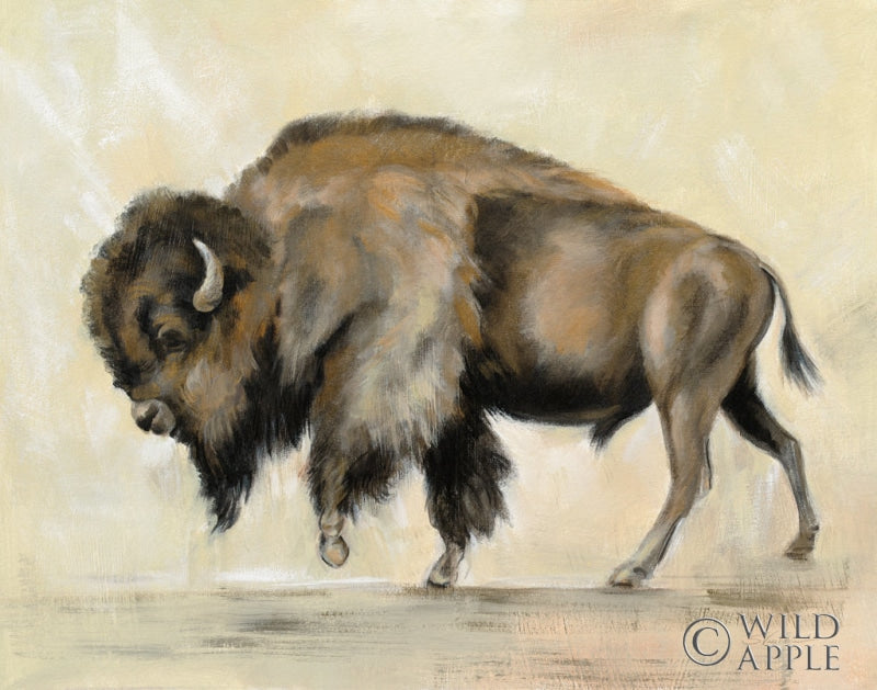 Reproduction of Bronze Buffalo Crop by Silvia Vassileva - Wall Decor Art