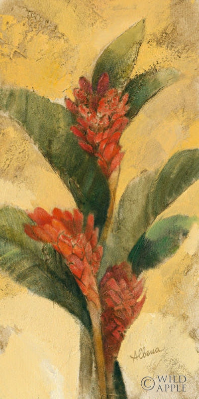 Reproduction of Ginger Blossoms by Albena Hristova - Wall Decor Art