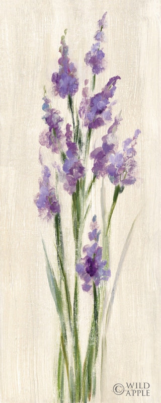 Reproduction of Farm Flower II Light by Silvia Vassileva - Wall Decor Art