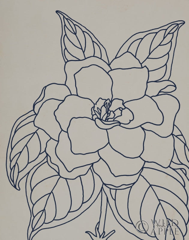 Reproduction of Gardenia Line Drawing Gray Crop by Moira Hershey - Wall Decor Art