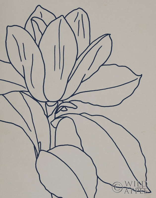 Reproduction of Magnolia Line Drawing v2 Gray Crop by Moira Hershey - Wall Decor Art
