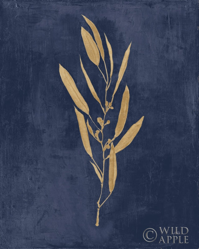 Reproduction of Botanical Study I Gold Navy by Julia Purinton - Wall Decor Art