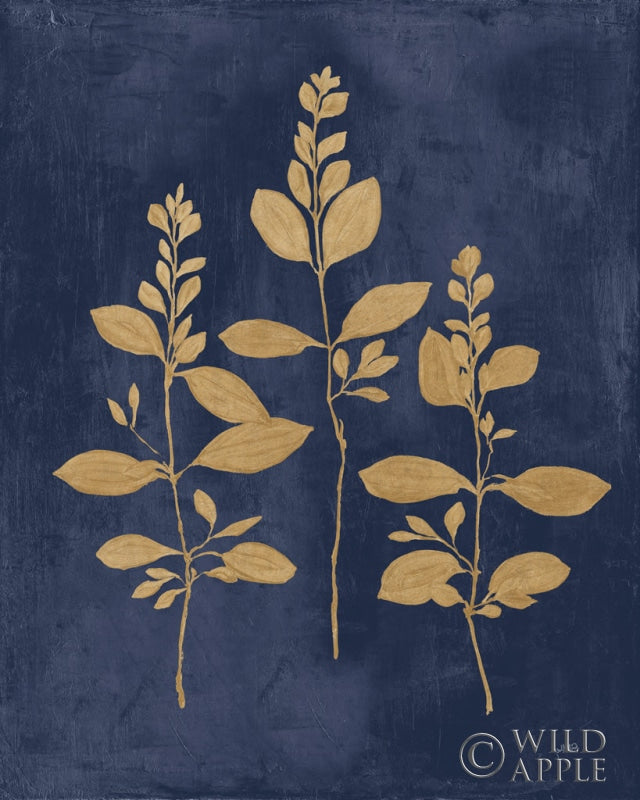 Reproduction of Botanical Study IV Gold Navy by Julia Purinton - Wall Decor Art