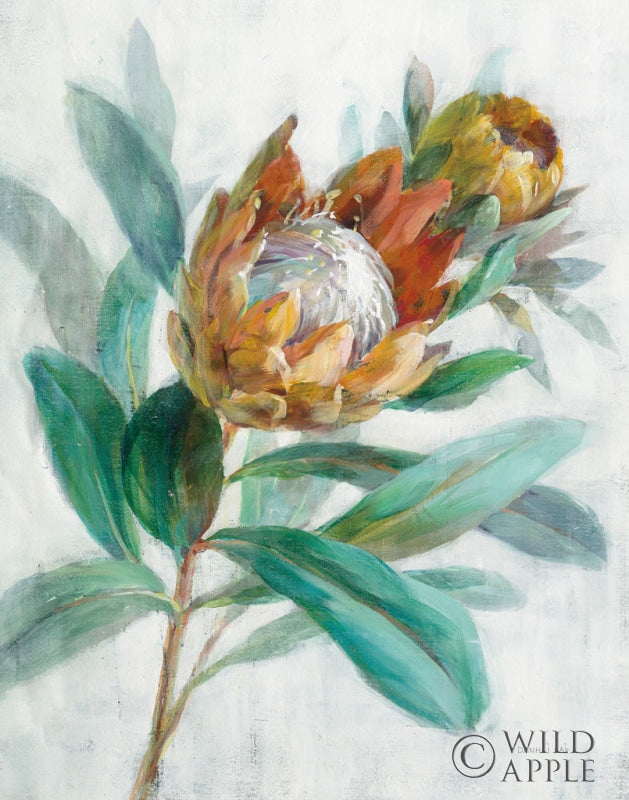Reproduction of Tropical Protea Crop by Danhui Nai - Wall Decor Art