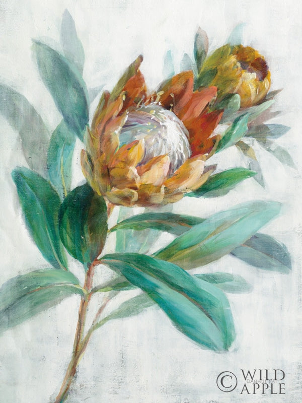 Reproduction of Tropical Protea Crop by Danhui Nai - Wall Decor Art