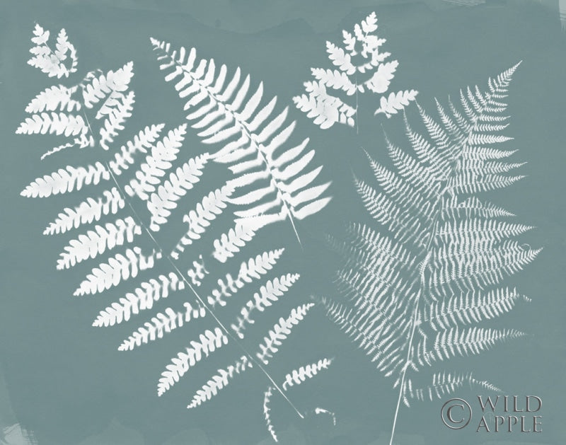 Reproduction of Nature by the Lake Ferns II Gray Mist Crop by Piper Rhue - Wall Decor Art